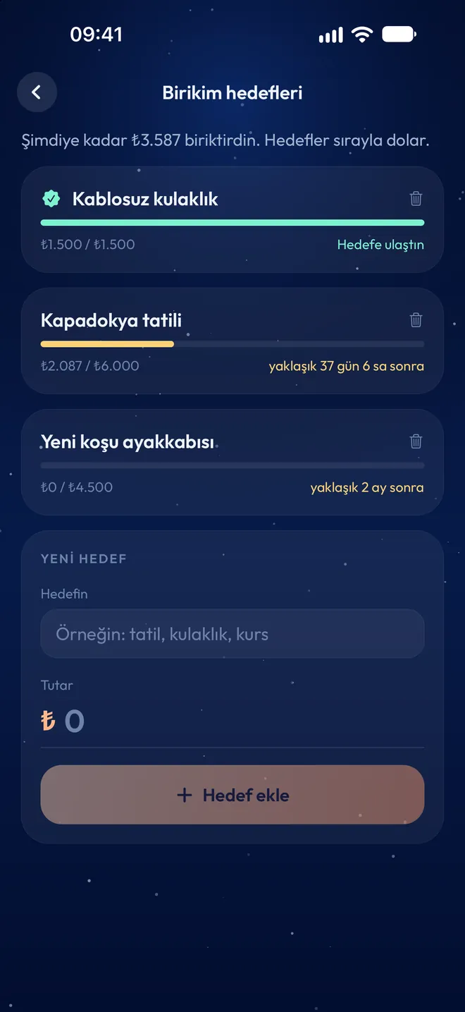 Birikim hedefleri