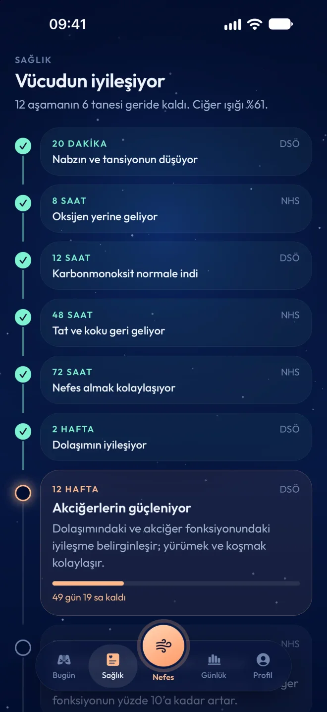 Sağlık zaman çizelgesi: geride kalan ve sıradaki aşamalar