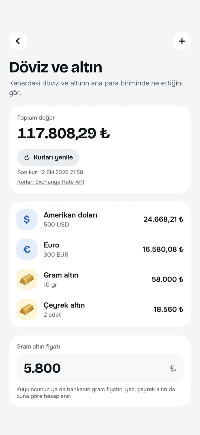 Döviz ve altın: dolar, euro, gram ve çeyrek altının ana para birimindeki toplam değeri